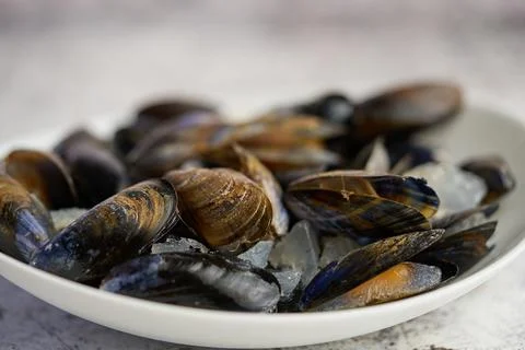 Shellfish raw mussels in ceramic white bowl, placed on stone gray background Foto stock