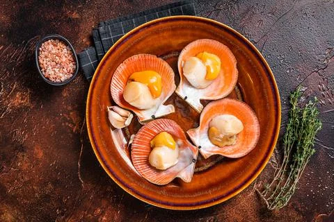 Shellfish raw Scallops on a rustic plate with thyme. Dark background. Top view Stock Photos