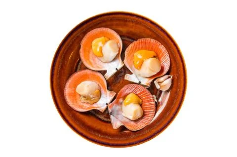 Shellfish raw Scallops on a rustic plate with thyme. Isolated, white backgr.. Stock Photos