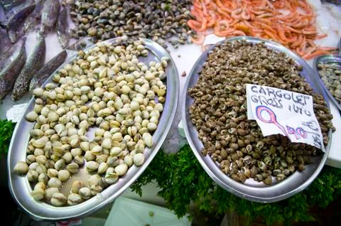 Shellfish for sale Stock Photos