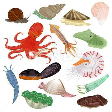 Shellfish vector marine animal octopus molluscs tentacle and animalistic Stock Illustration