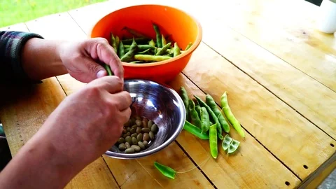 Shelling beans Stock Footage 120640882
