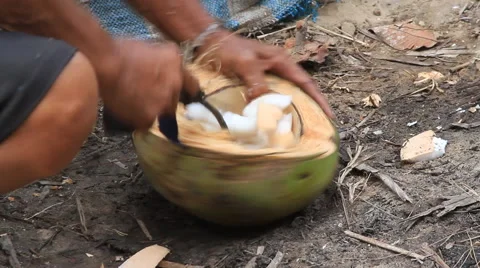 Shelling a coconut close up Stock Footage 49682465