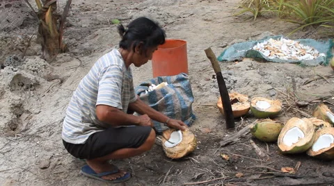 Shelling a coconut Stock Footage 50030054