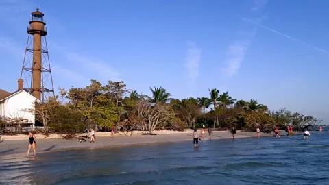 Shelling by the Lighthouse Stock Footage 149612827