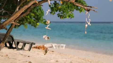 Shells and corals on rope by the ocean background Stock Footage 234580538
