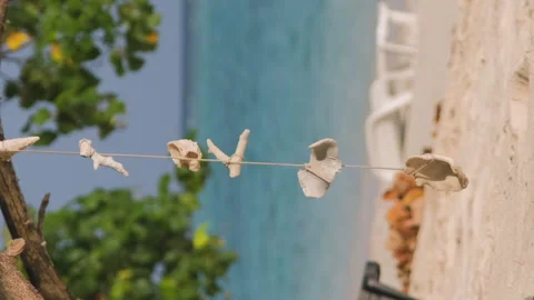 Shells and corals on rope by the ocean Vídeo Stock 240946125