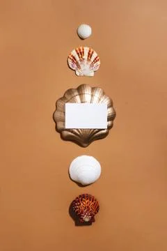 Shells and empty business card. Summer trendy flat lay on ochre orange Stock Photos