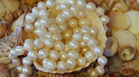 Shells and Pearls 库存影片 21233687