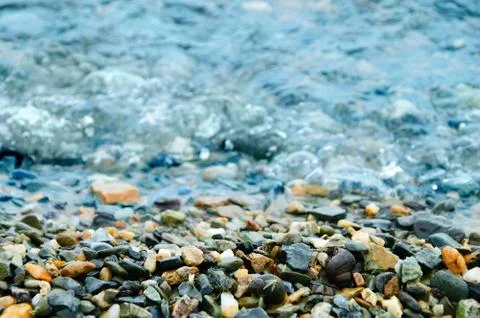 Shells and pebbles on the beach. Close-up. Stock Photos