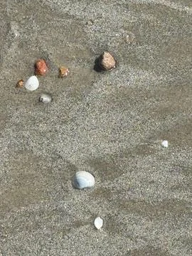 Shells and Pebbles on the Beach Sand Stock Photos