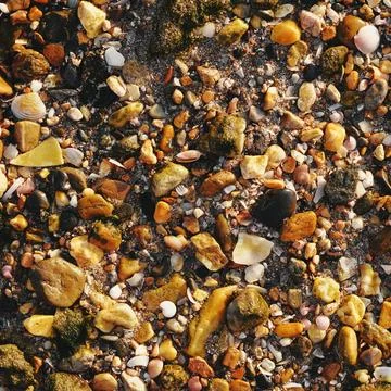 Shells and pebbles on the seashore. Summer time Foto stock