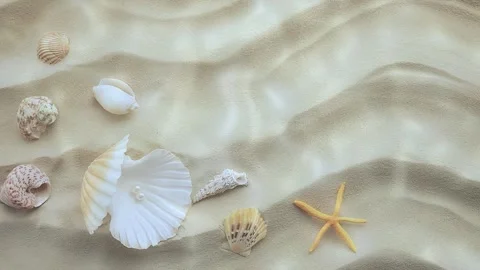 Shells and sand arranged on a surface with natural textures Stock Footage 348370967