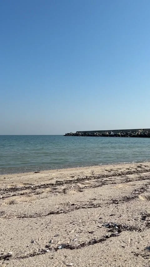 Shells and sand on the Black Sea coast in Buigaria Stock Footage 302927182
