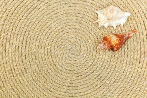 Shells and sea network lie on background made of rope Stock Photos