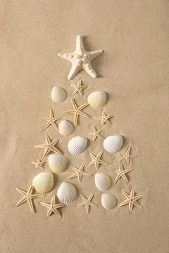 Shells and Starfish Form Christmas Tree on Sand Stock Photos
