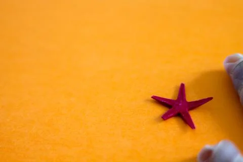 Shells and starfish on an orange background. holiday mood. beach and sea. Stock Photos