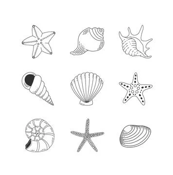 Shells and starfish outline set isolated on white background. Seashell vector Stock Illustration