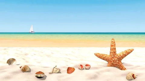 Shells and starfish on a sandy beach with calm ocean waves. Seamless 4k footage. Stock Footage 63979302