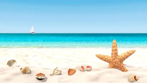 Shells and starfish on a sandy beach with a blurred background in order to fo Illustrazione stock