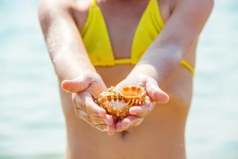 Shells and starfish on the sea. summer photo. selective focus. Stockfoto's