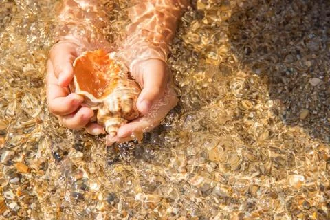 Shells and starfish on the sea. summer photo. selective focus. Foto stock
