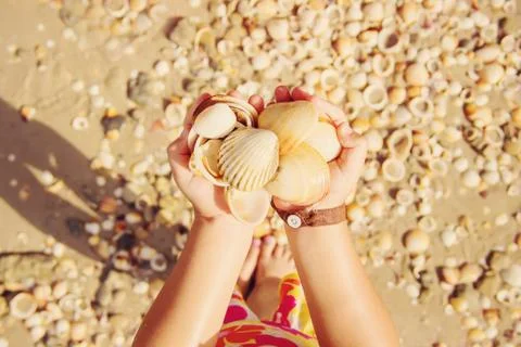 Shells and starfish on the sea. summer photo. selective focus. Stock Photos