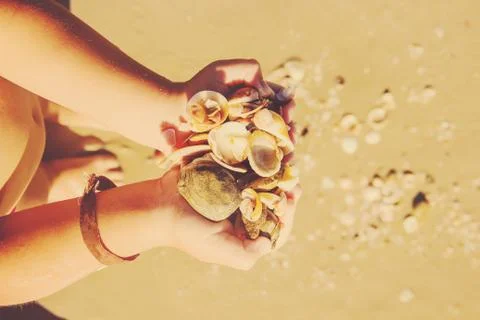 Shells and starfish on the sea. summer photo. selective focus. Stock Photos