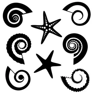 Shells and starfish silhouettes set Stock Illustration