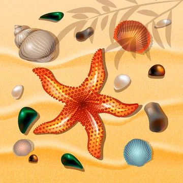 Shells and starfishes on sand background. Summer Theme Illustrazione stock