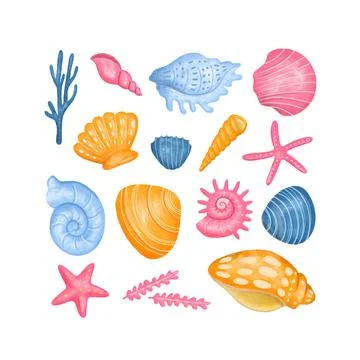 Shells and starfishs Stock Illustration