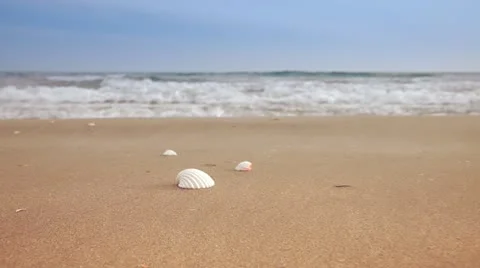 Shells and waves HD ProRes Stock Footage 10872244