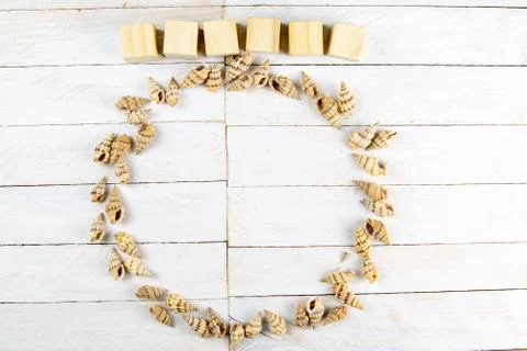 The shells are arranged in a circle, there is room inside for a message toget Stock Photos