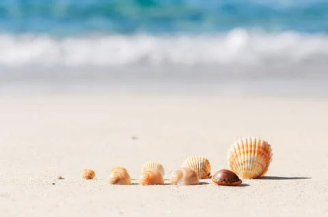 Shells are standing on the beach in front of the sea Stock Photos