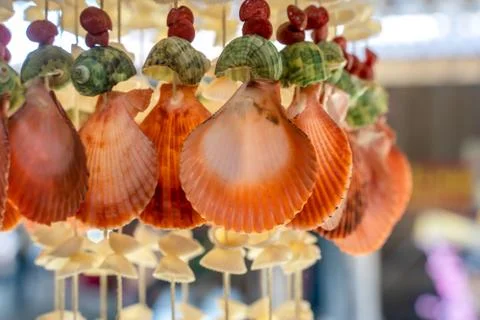 Shells are used as decorative ornaments such as hanging as mobile. Foto stock
