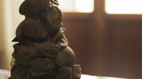 Shells art with camera movement and mean field Stock Footage 61966796