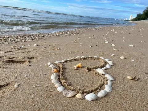 Shells on the beach (6) Stock Photos