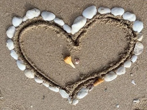 Shells on the beach (8) Stock Photos