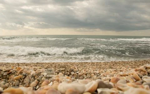 Shells on the beach during sunset 스톡 사진
