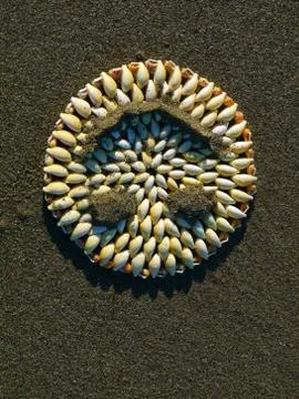 Shells beach Stock Photos