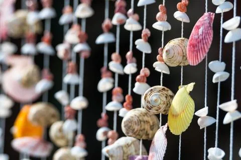 Shells collection in decoration set Stock Photos