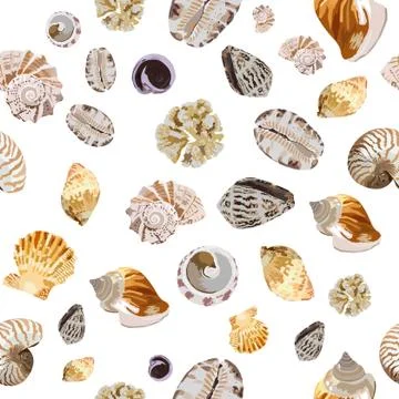 Shells collection repeat pattern 스톡 일러스트