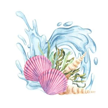 Shells composition with algae seaweed kelp and water splash underwater. Hand Illustrazione stock