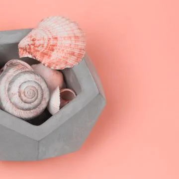 Shells in a concrete pot on the background of the color of living coral, the  Stock Photos