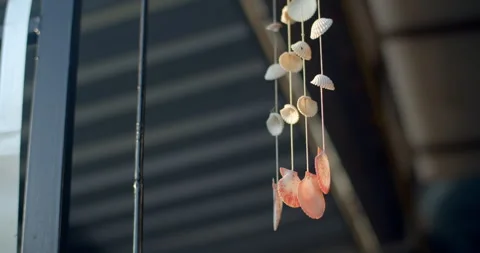 Shells from dead molluscs are used to decorate houses. Stock Footage 292424228