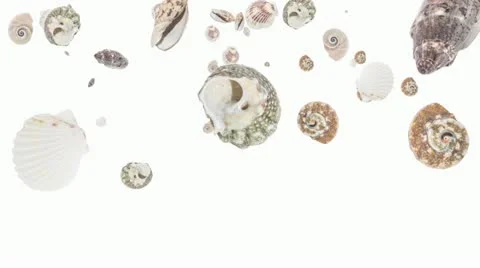 Shells falling down Stock Footage 22424860