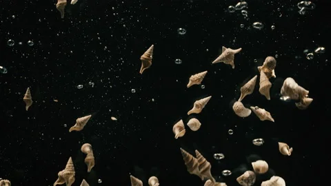 Shells falling into water 스톡 동영상 130310766