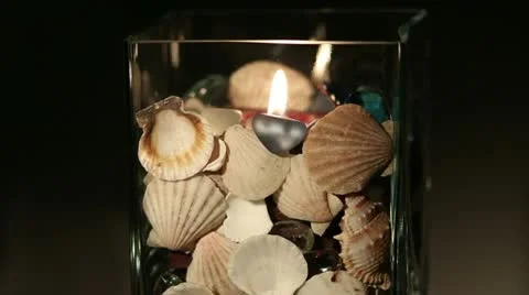 Shells Stock Footage 20470061