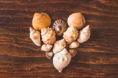Shells forming a heart Stock Photos