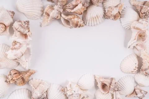  shells frame Stock Photos